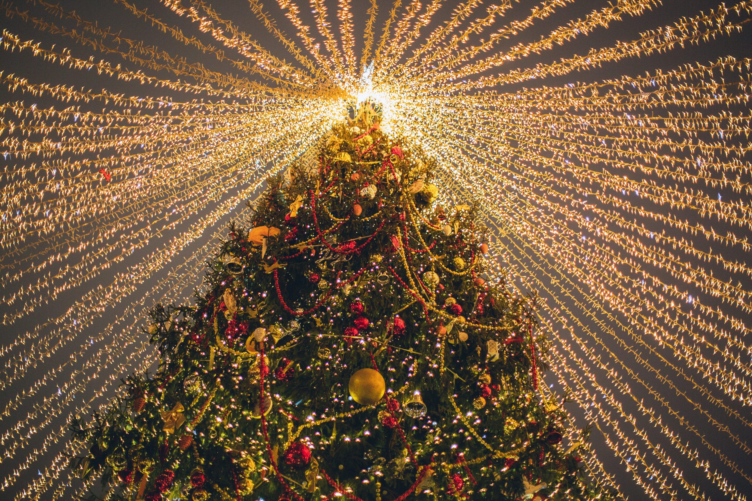 Feliz Navidad